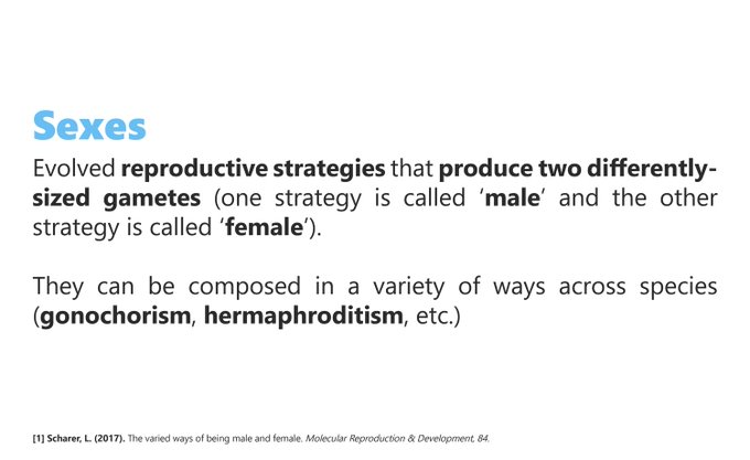 Suzy Eeckelaerts tweet media