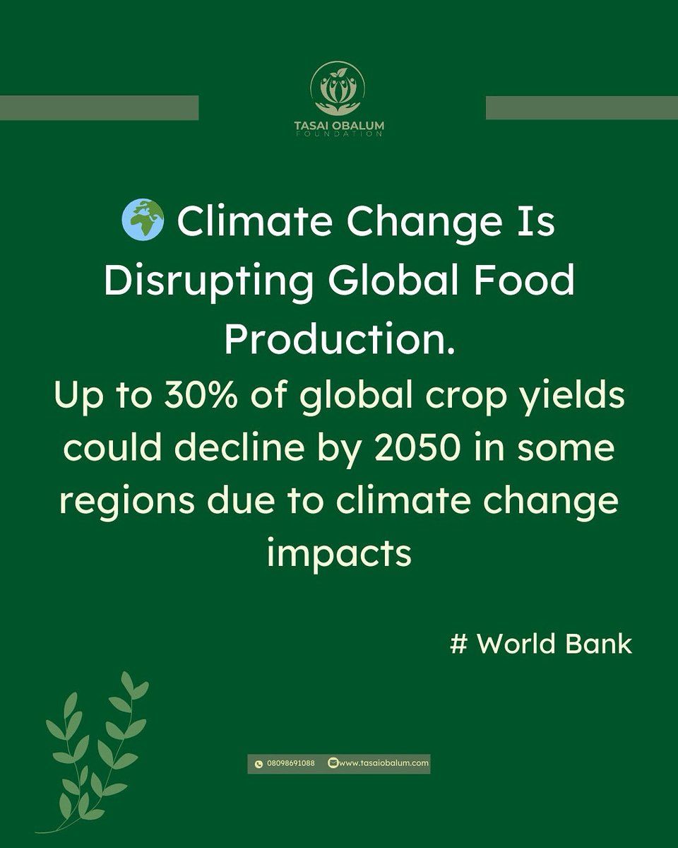 TasaiObalum's tweet image. Climate change is disrupting global food production. 🌍

Up to 30% of crop yields could decline by 2050 in some regions.

Climate action is food security action. 🌱

#ClimateChange #FoodSecurity #Sustainability