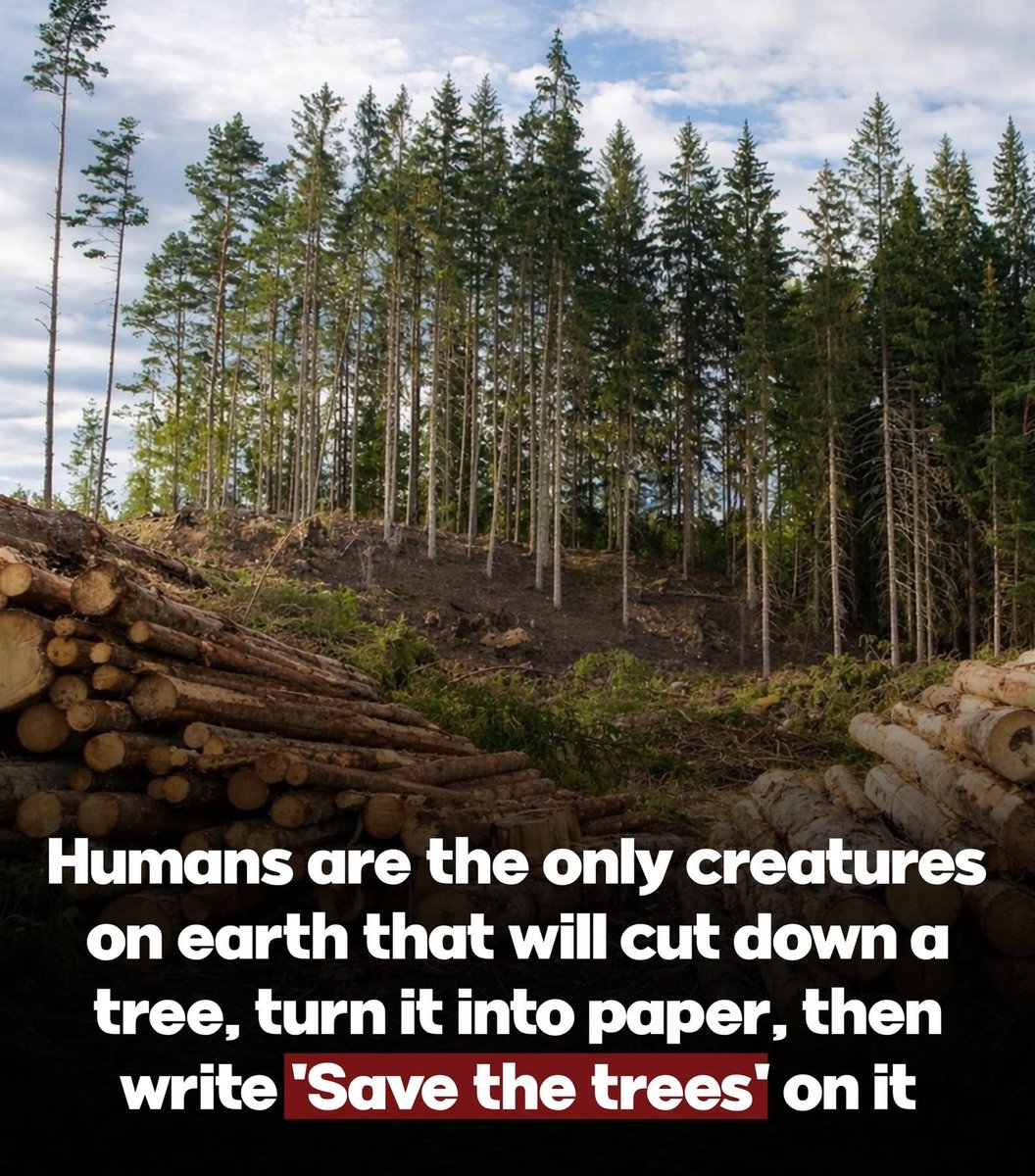 🧬Maxpein🧬 (@maximumpain333) on Twitter photo 