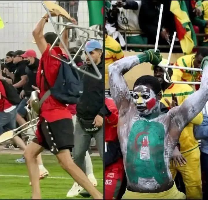 يختلف الجلاد لكن الضحية واحد 💪
#البابون 🐒