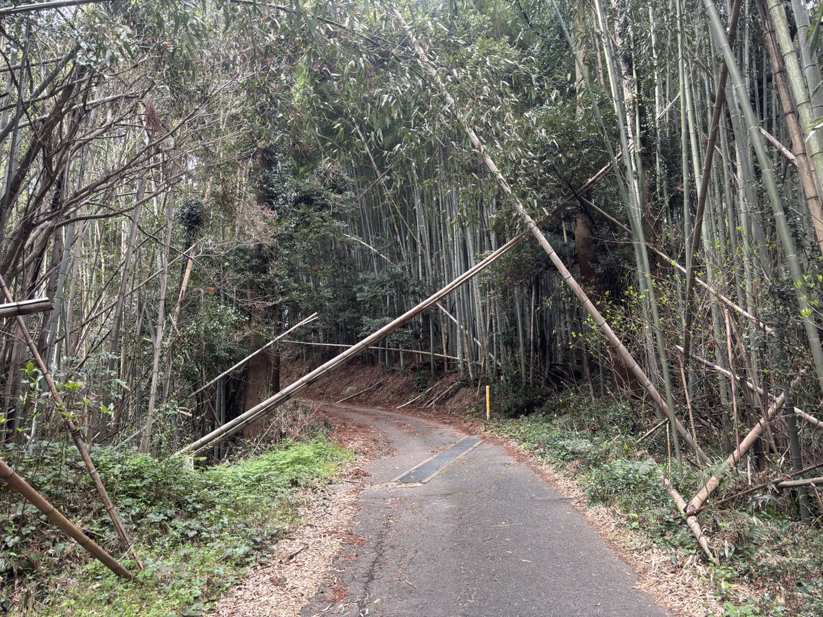 うや〜ま@がんばる tweet media