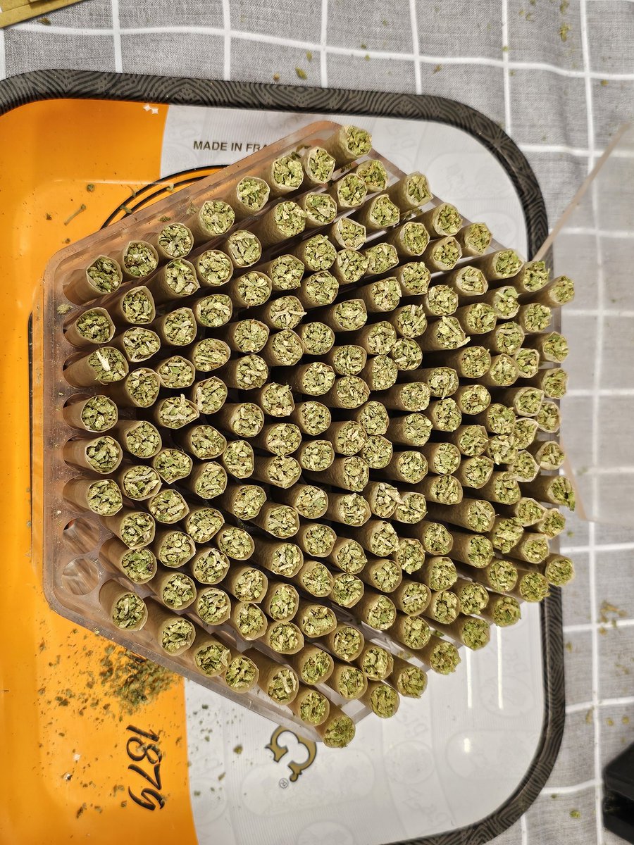 ⚅ sʞɔᴉs tweet media