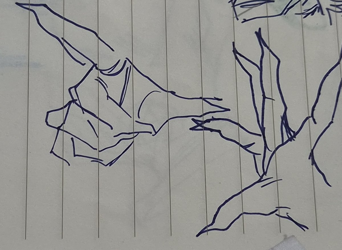 태운새우 ㅌㅊㅅ tweet media