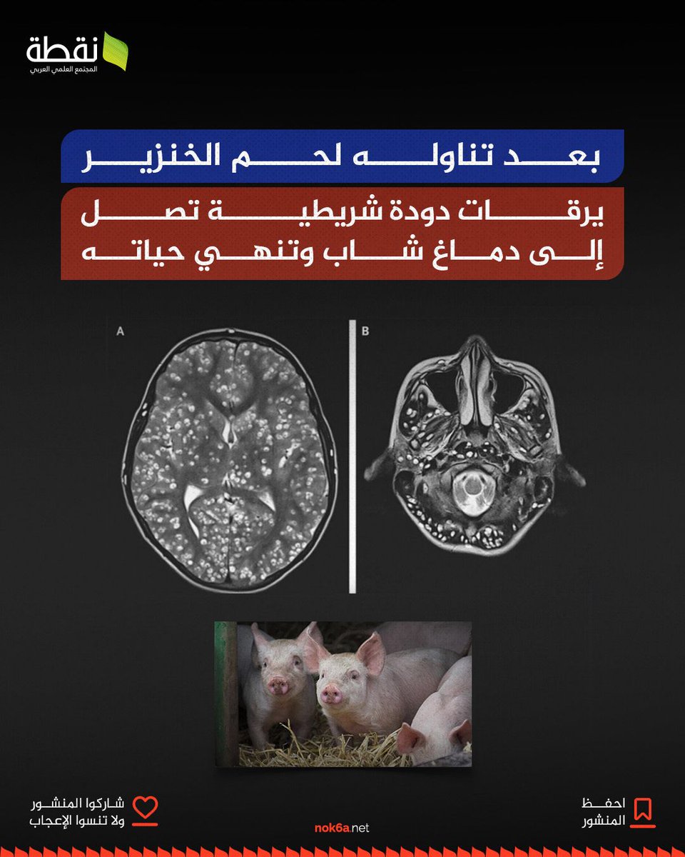 مجلة نقطة العلمية | Science tweet media