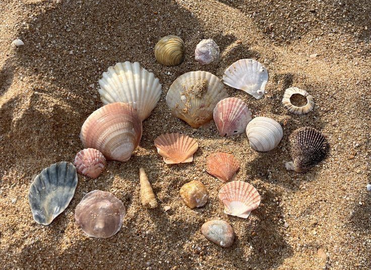 𝑝𝑢𝑟𝑒 tweet media