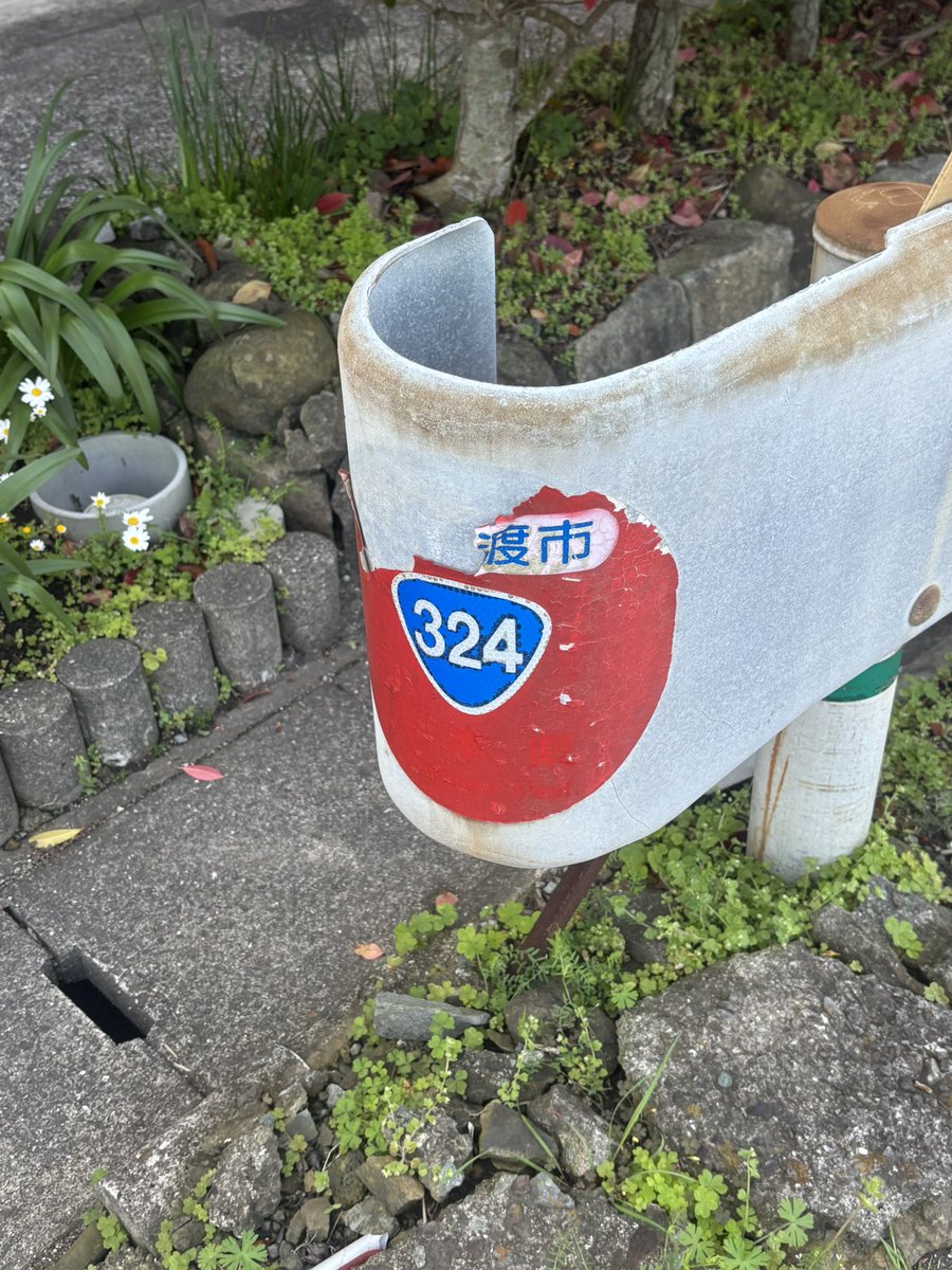 うや〜ま@がんばる tweet media