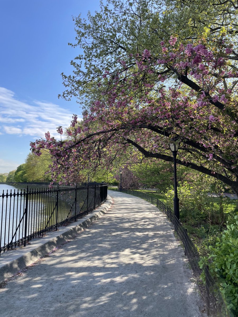 Damon DiMarco tweet media