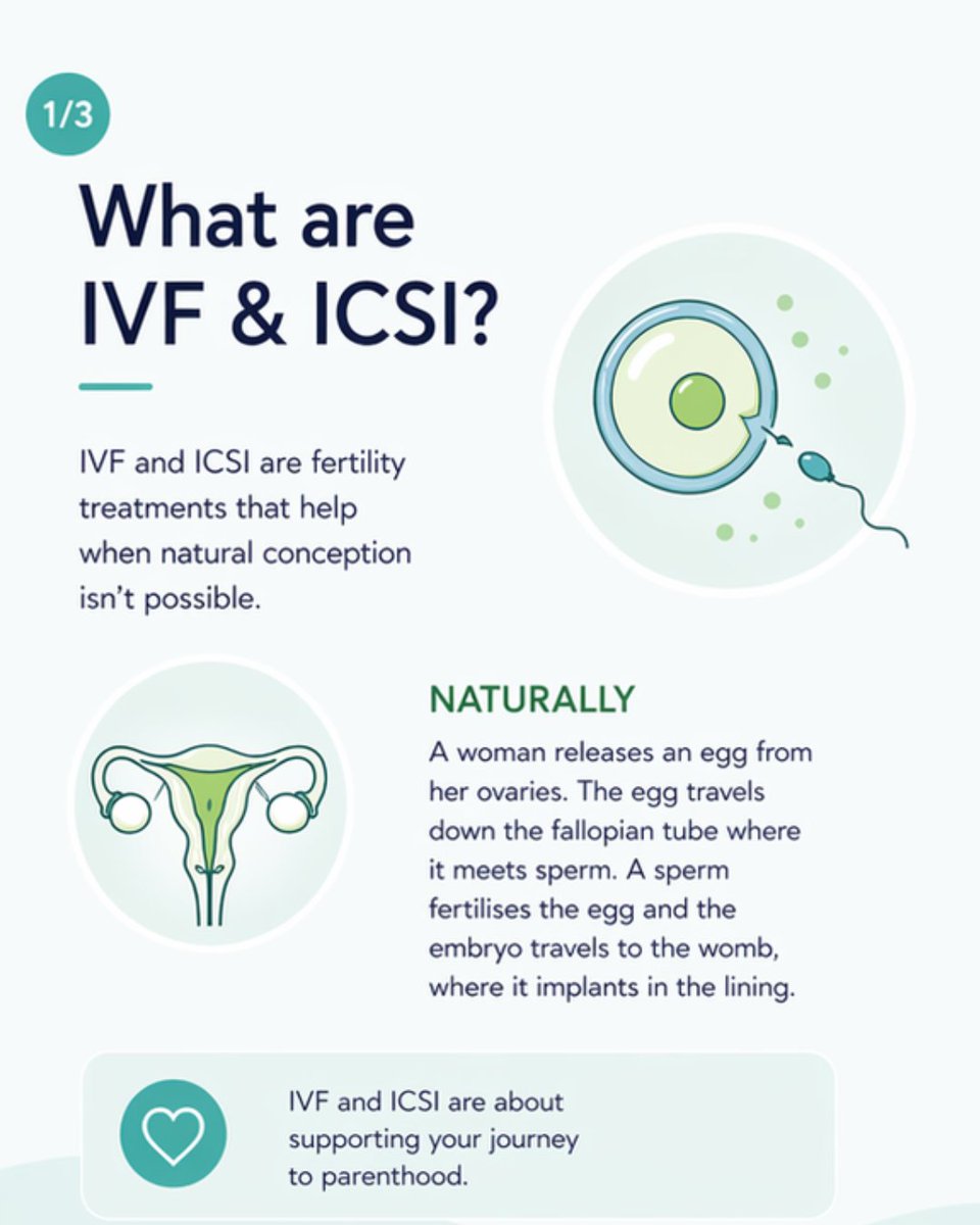 FertilityNUK's tweet image. IVF and ICSI help with conception when natural methods fail. IVF collects and fertilizes eggs in a lab, while ICSI injects sperm directly into an egg. Understanding these options can aid your journey. #IVF #ICSI #FertilityTreatment #FertilityAwareness #FertilityExplained