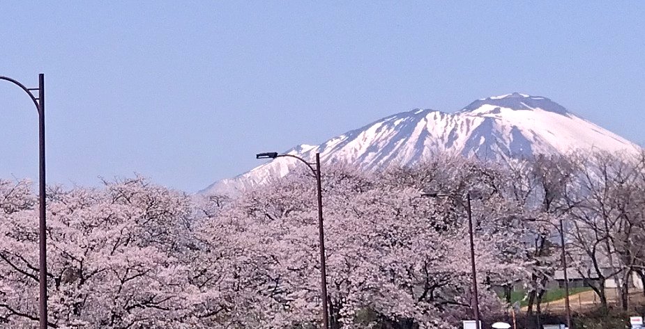 🩷NoriNoriDam〜女🩷 tweet media