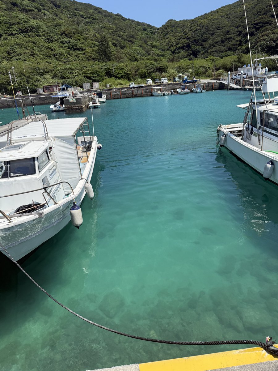 カリスマ・ニート ジュンヤ tweet media