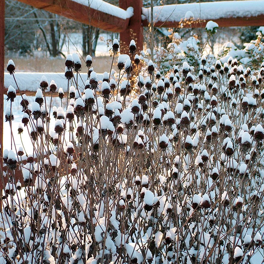 Give A Shit About Nature tweet media