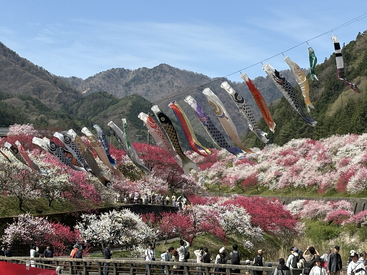 信濃南-Shinanonan- tweet media