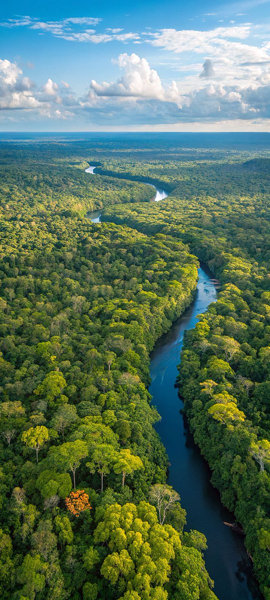 Earth 🍃 tweet media