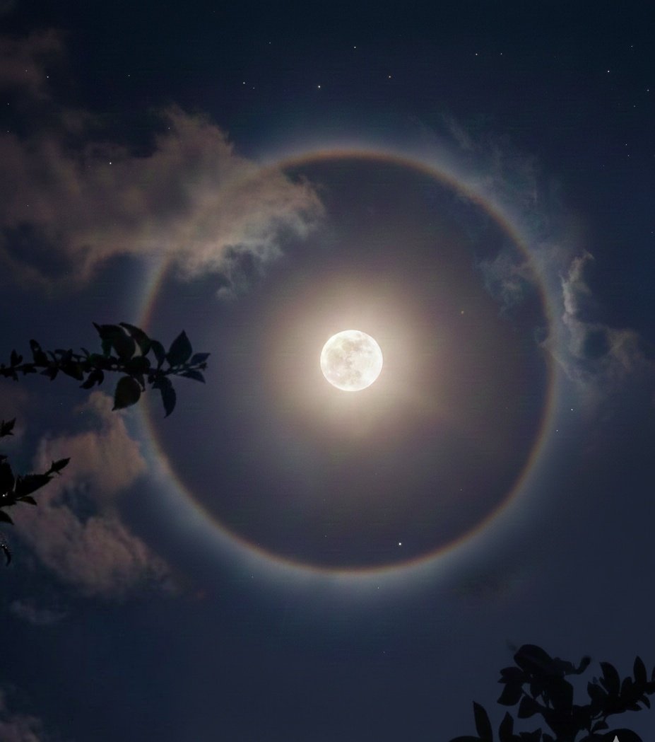 MOON tweet media