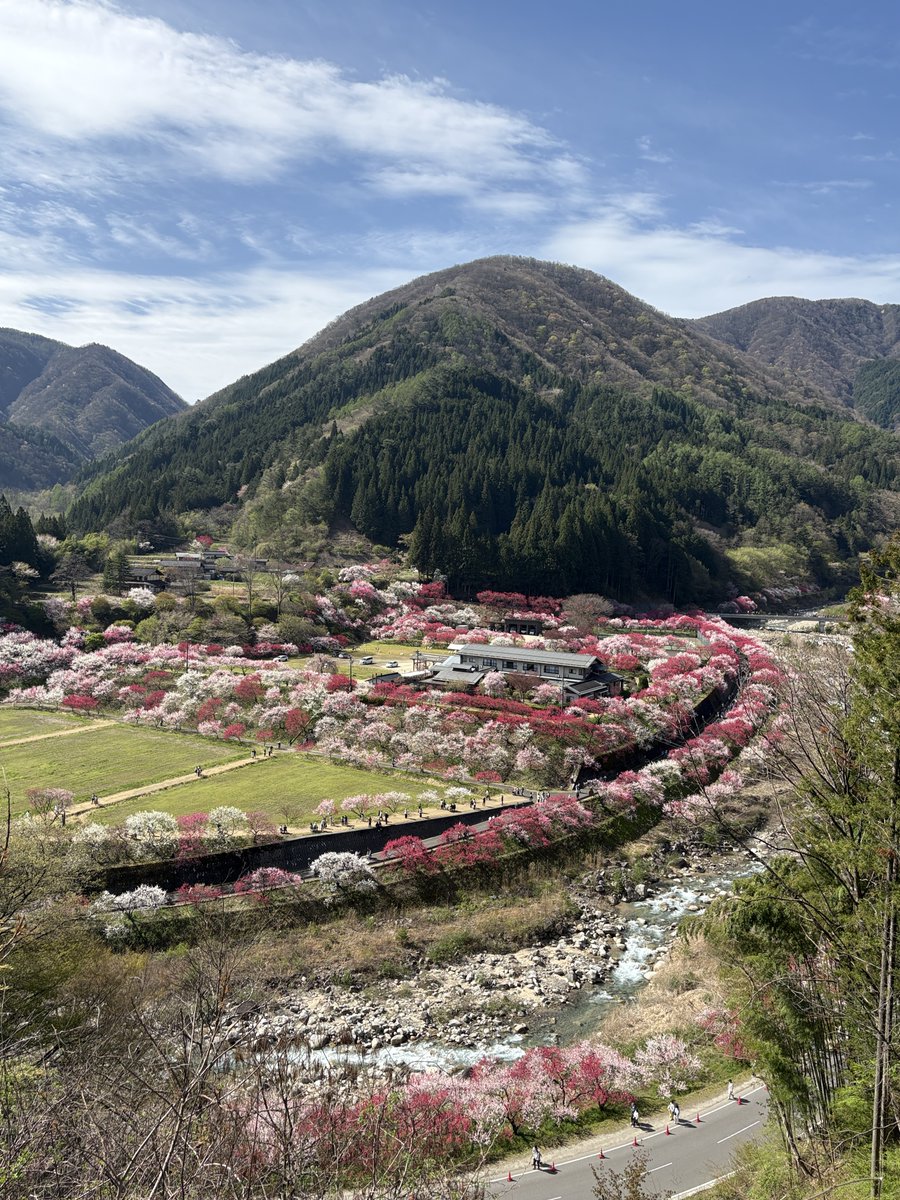 信濃南-Shinanonan- tweet media