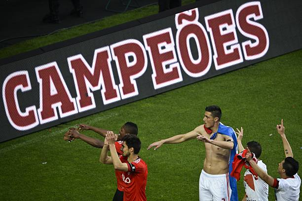 Benfica Daily tweet media