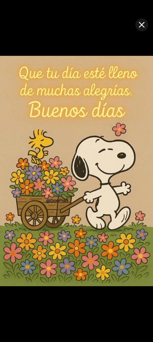 𝐵𝑒𝑡𝑠𝑖 🐱 tweet media