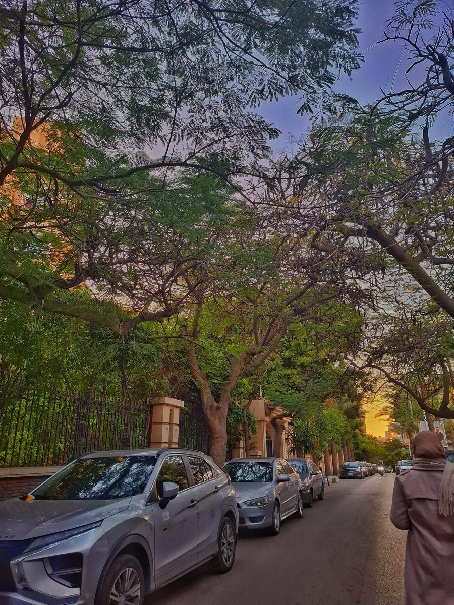 لوتس tweet media