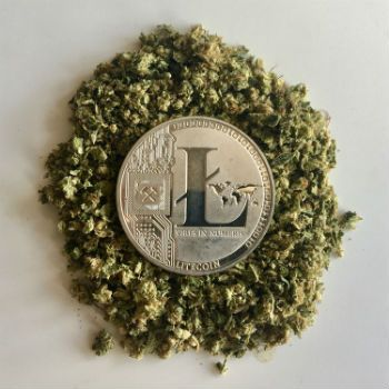 Litecoin tweet media