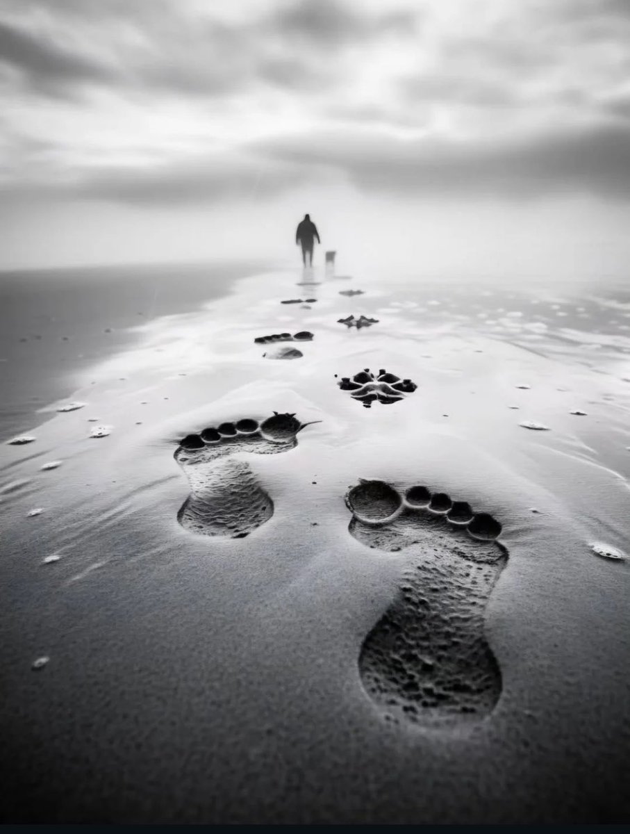 ryan2616's tweet image. #blackandwhite