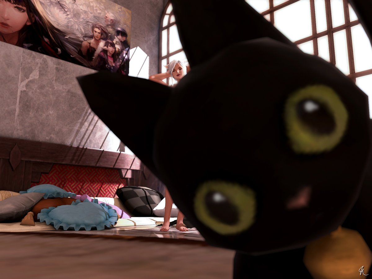 cats...
