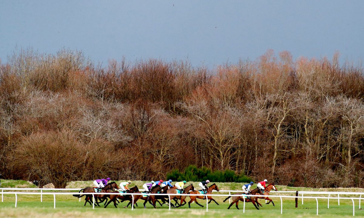 British Horseracing Authority tweet media
