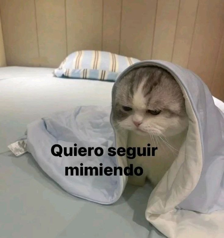 adnnoticiasmx's tweet image. #FelizLunes | 😌💪 ¡Buenas, buenas! 🌞 Otra semana más, mi gente hermosaaa. ¿Ya están listos para arrancar con todo esta semana o todavía andan en modo fin de semana?