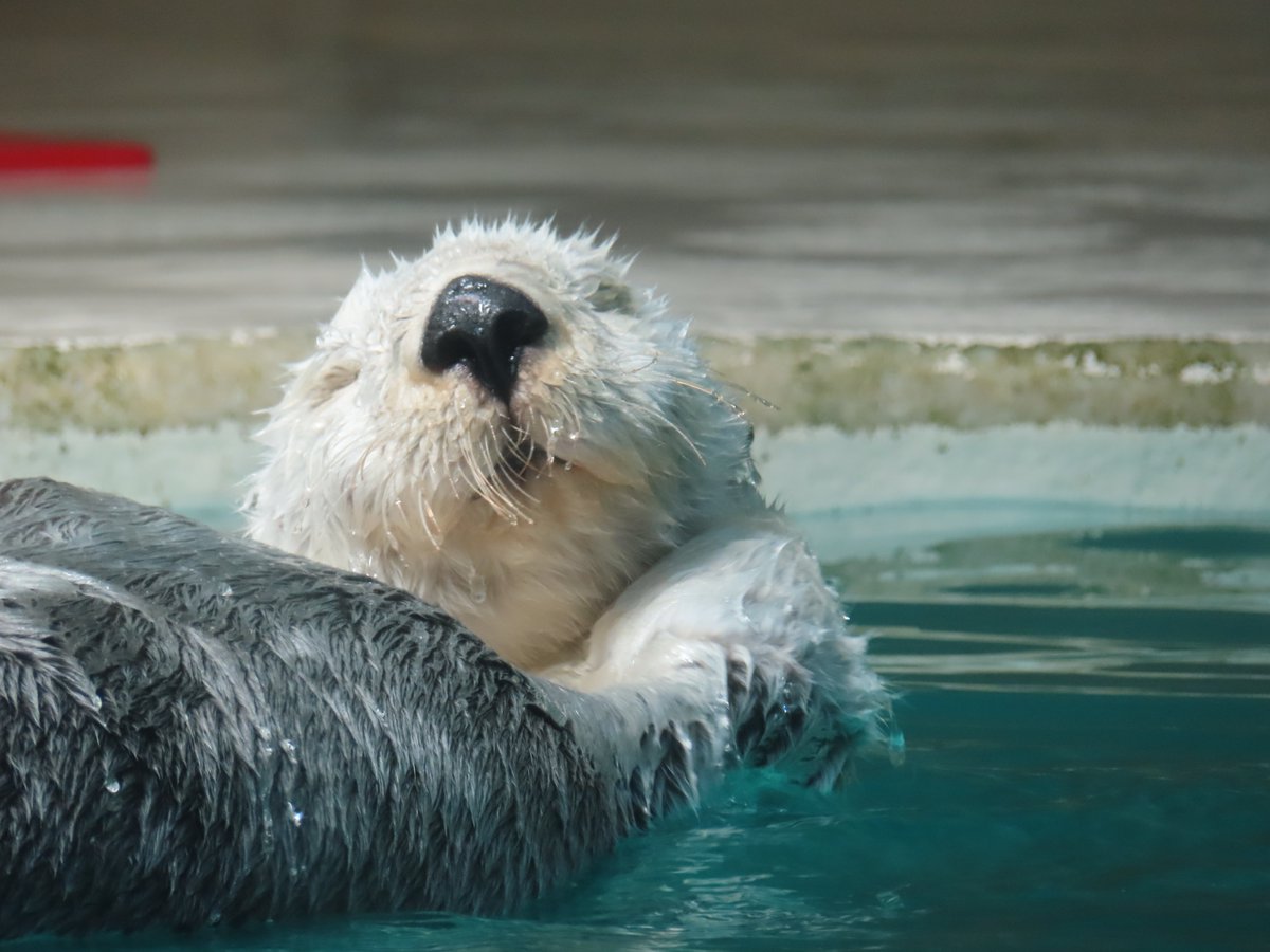 花散美幸 tweet media