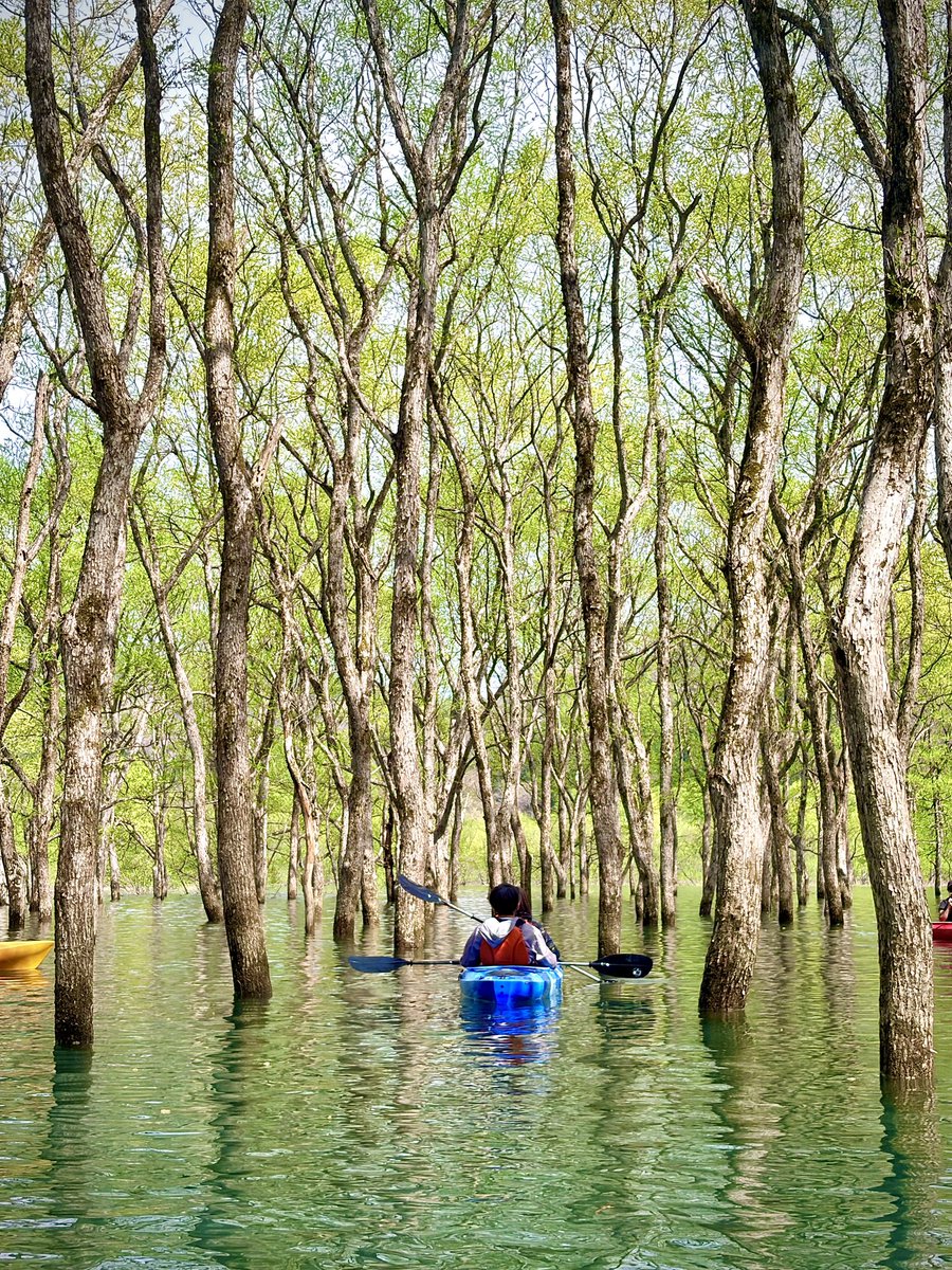 鼓膜に薔薇が咲きますっ♡. tweet media