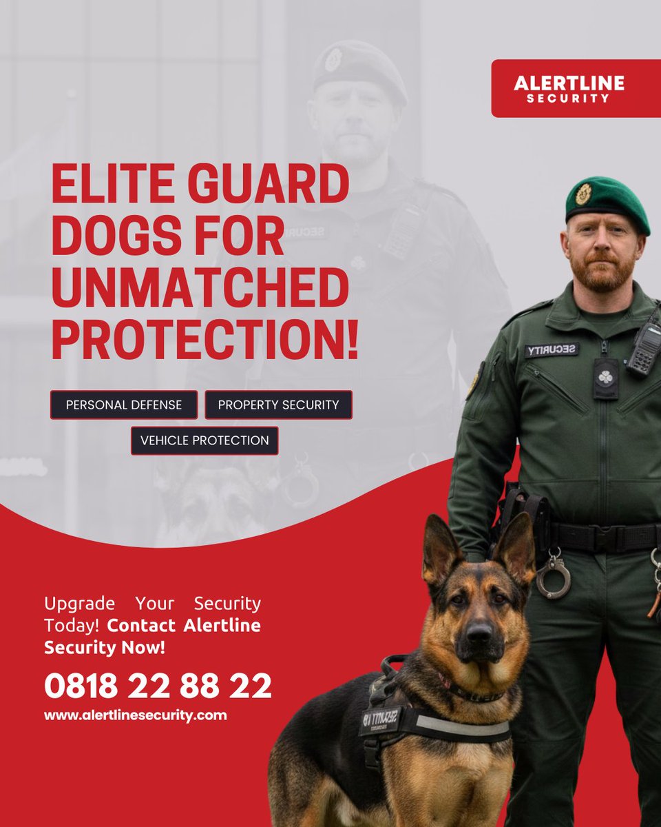 alertlinelltd's tweet image. 🐕 Expert guard dogs for personal &amp;amp; property security. Tailored protection for your lifestyle—at home or on the move. 🔒 Learn more: alertlinesecurity.com 📞 0818 22 88 22 #HomeSecurity