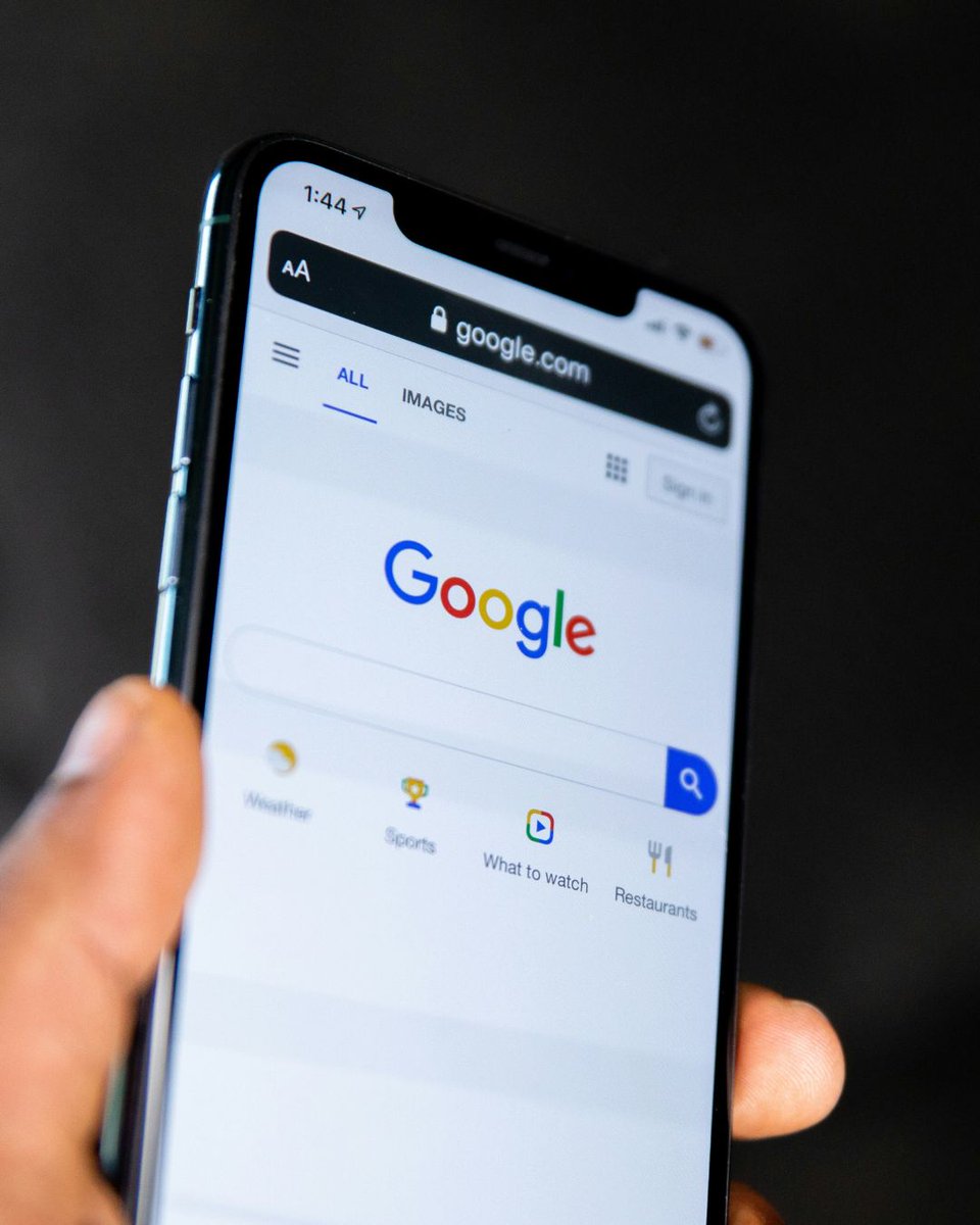 SEO-Portal.de tweet media