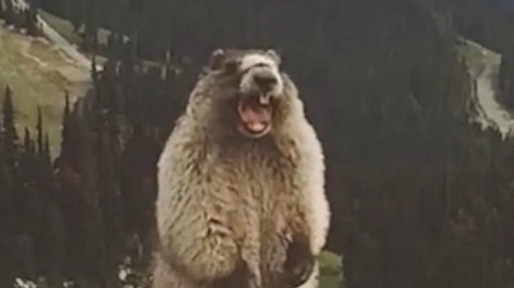 유유나낭 tweet media