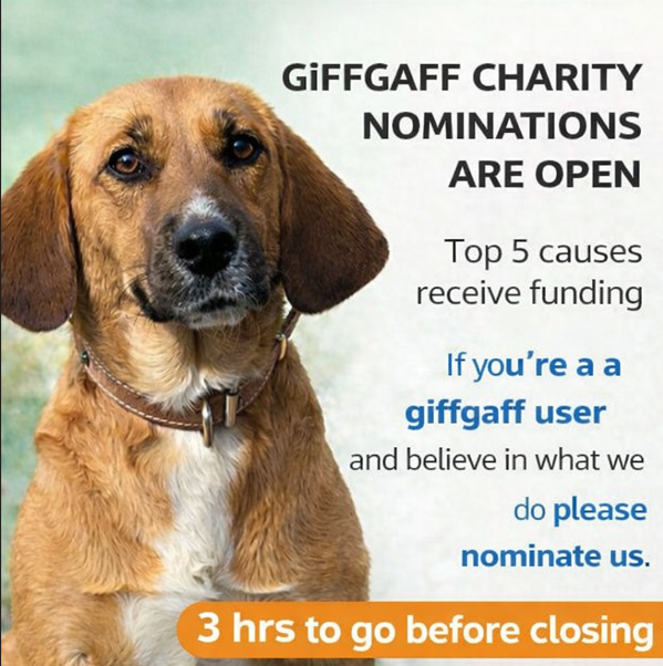 DogDeskAction's tweet image. ⌛️JUST 3 HOURS TO VOTE⌛️   

Friends if you are a giffgaff user &amp;amp; you support our work you have just 3 hours to get your nomination in!         

Nominate here ⬇️

community.giffgaff.com/d/34561967-our…

@qu1ncey @team_greenacres @PDRescue