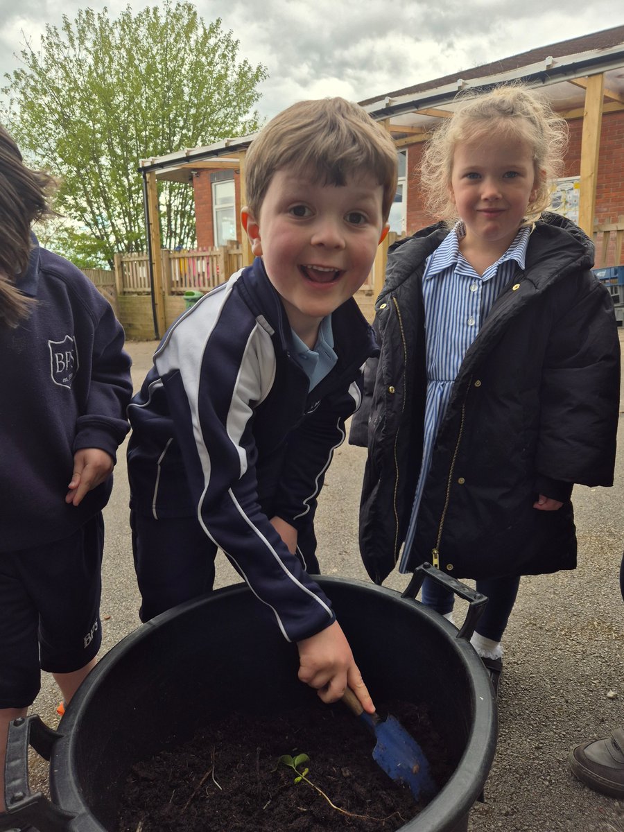 BrabynsPrep's tweet photo. As part of our topic, Growing and Changing, we looked at plant life cycles. PrePrep then began planting out their vegetable plot. #BPSAchieve #BPSEngage #EYFS #Brabynsnursery https://t.co/STzrKDGkY4