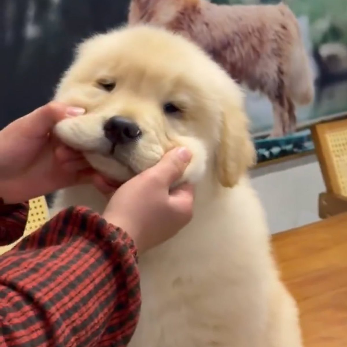 Normal ft.FKT tweet media