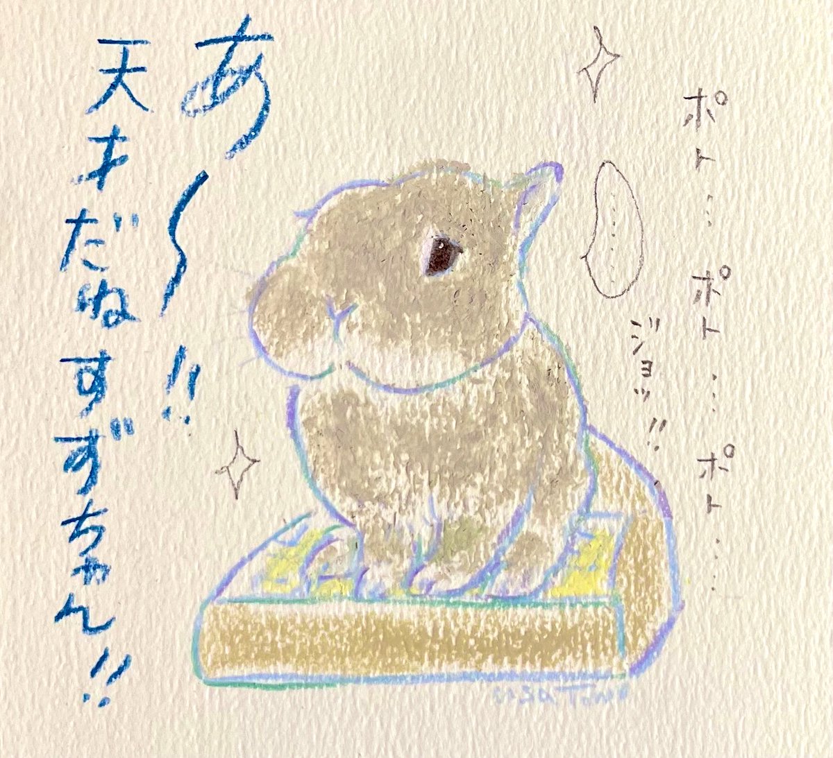 tomoz1222's tweet photo. 🐰 「私、失敗しないので」
#今日のうさぎのすずちゃん https://t.co/kokW3cEn6N