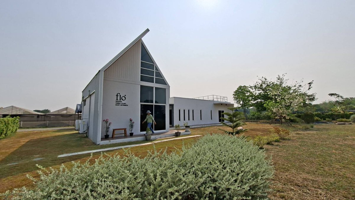 しらえり🇹🇭THAIBIZ tweet media