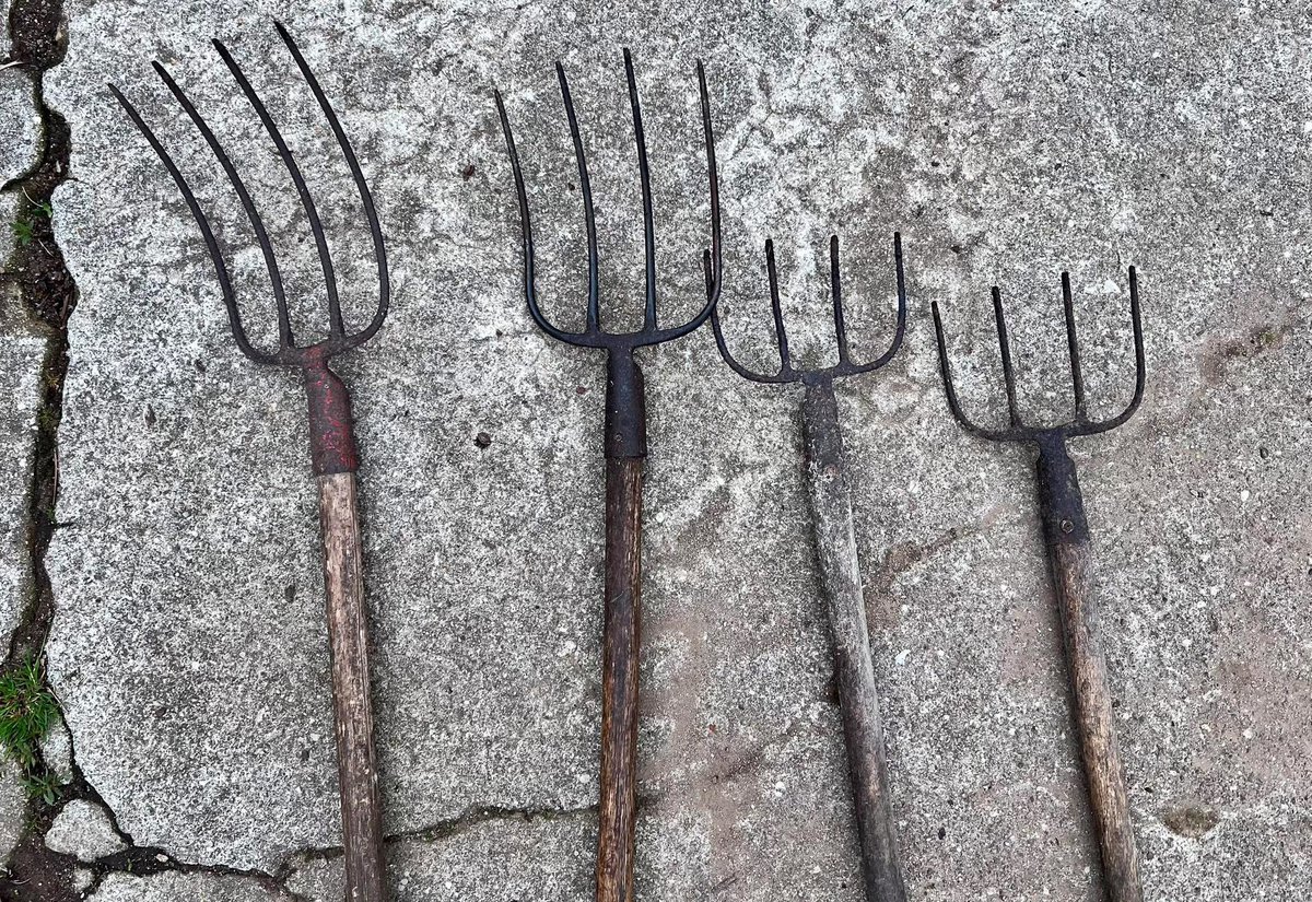 Santiago Garrido tweet media