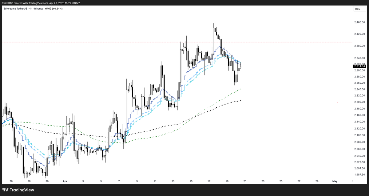 Thibs 🚀🏄‍♂️ tweet media