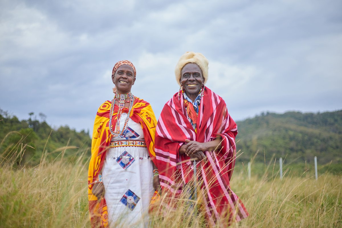 UNDPplanet's tweet image. Indigenous traditional medicine is not a nostalgic exercise—it is a forward‑looking investment in inclusive health systems, ecological restoration, and climate resilience. 

See how traditional medicine in Kenya improves forest and human health: go.undp.org/TNy

#UNPFII