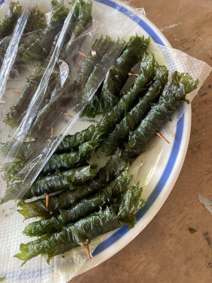 憲菠(かずは)🦊🎀5/6西1コ29b tweet media