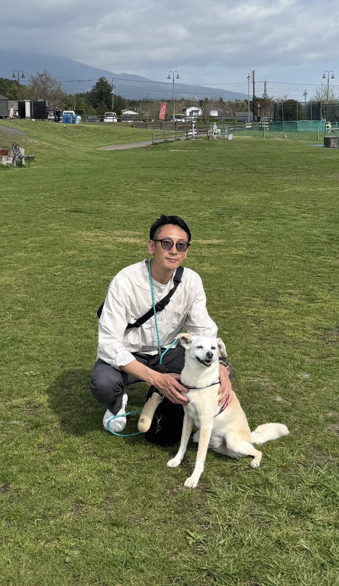 今村 真也@犬の専門家・SippoFesta統括 tweet media
