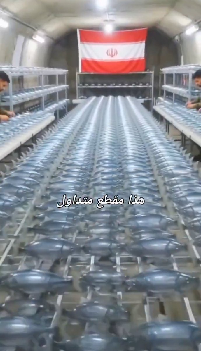 مزيونة اردنية ♥️ 🇯🇴❤ tweet media