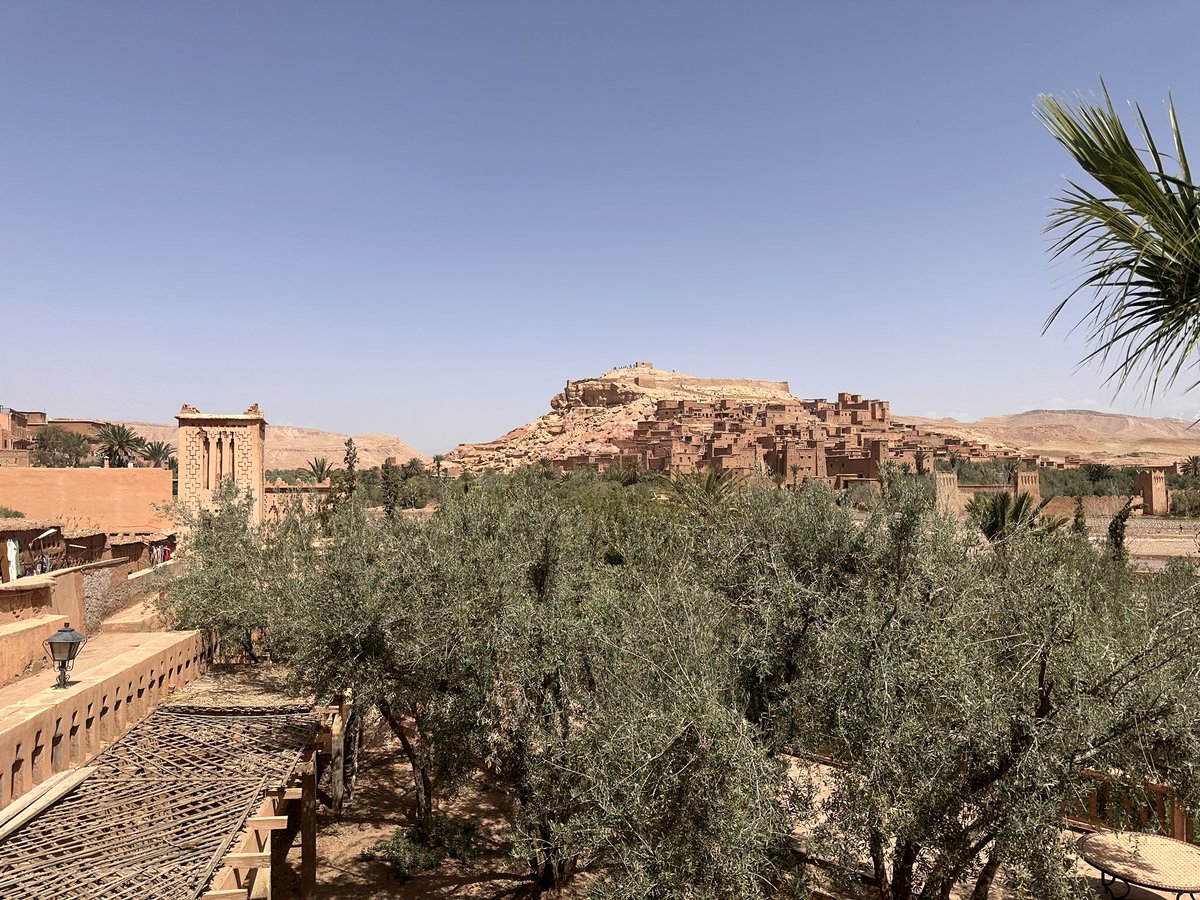 nida 𓃹 tweet media