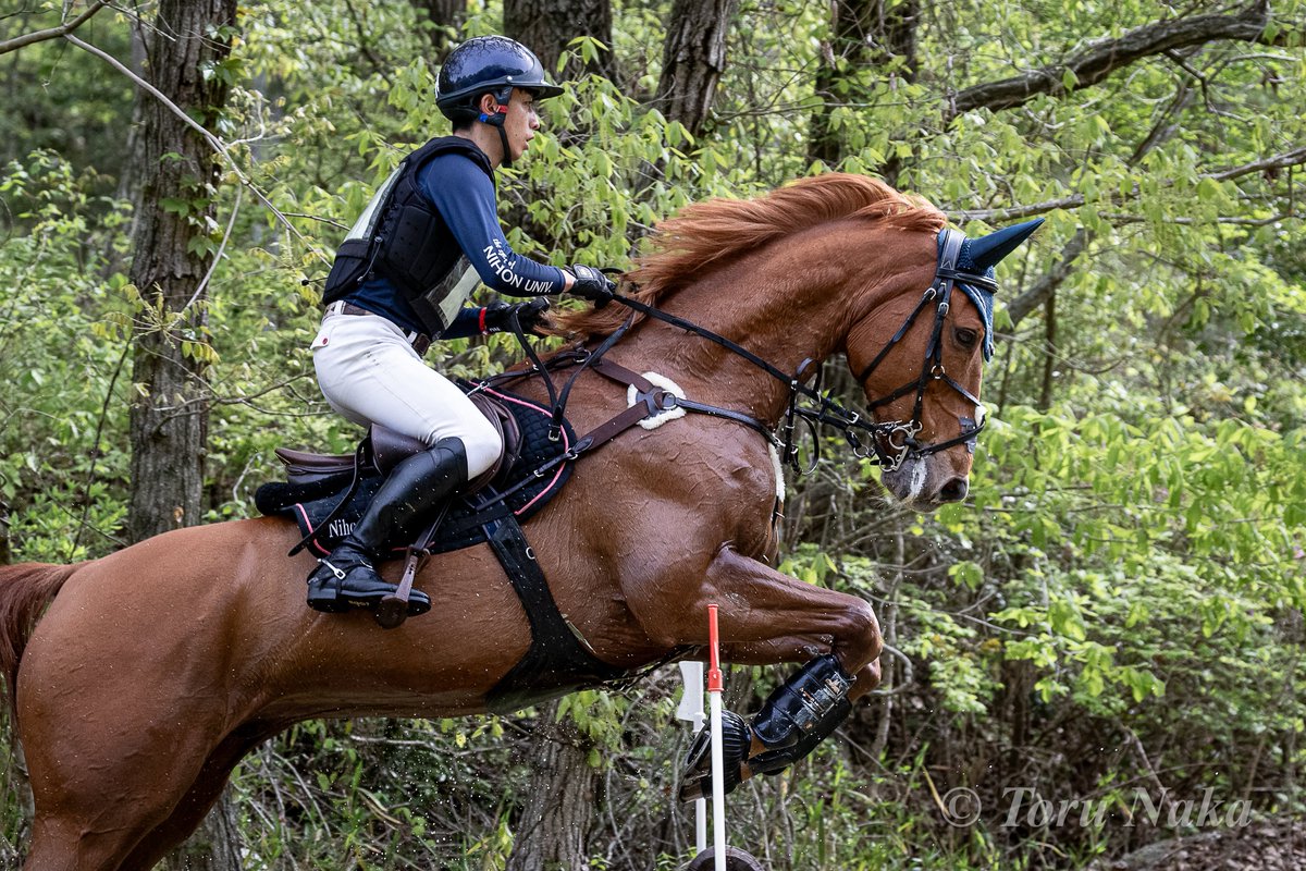 2026.04.18 CCI3*-S
菅原権太郎＆ヴィンカズJRA
5位スタートで臨んだクロスカントリーにて、オリンピアン2人をおさえての逆転優勝。パートナーのヴィンカズJRAは、アングロアラブの17歳馬。半兄Tenarezeは、世界ヤング総合馬術選手権で連覇をはたしている良血。#総合馬術 #aichinagoya2026 #アジア大会