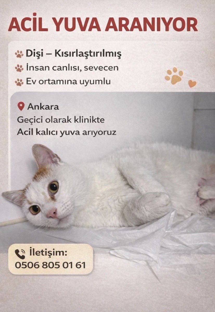 Masum Gözler tweet media