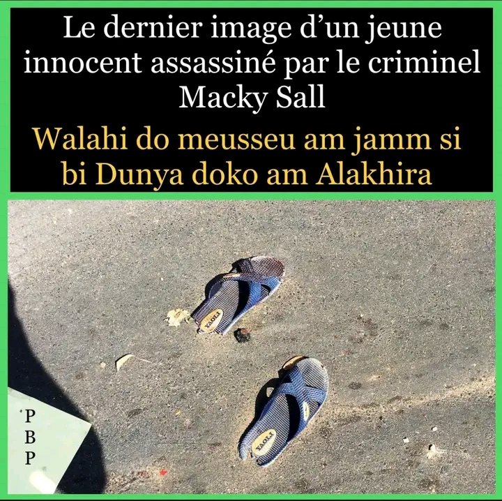 Mamadou Sankharé 🇸🇳🇸🇳🇸🇳 tweet media