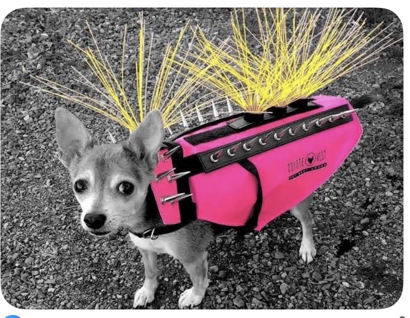 Realityphile tweet media