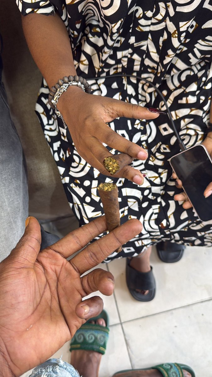 HARD BRAIN 🧠 STRAIN 🌳 tweet media