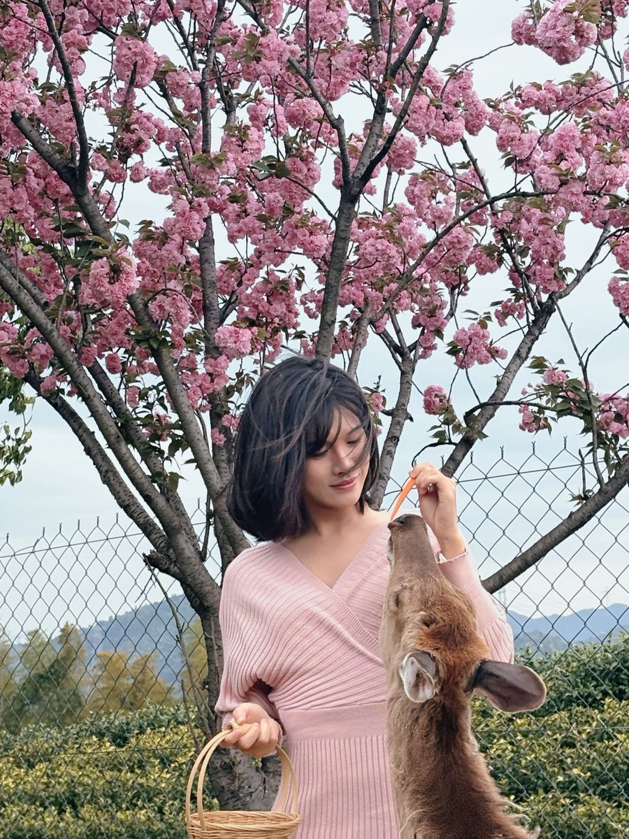 上海伪娘CD咪 tweet media
